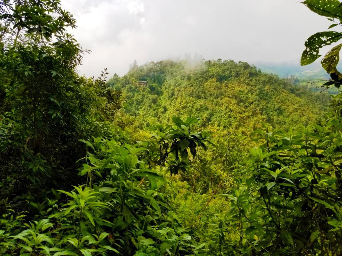 Finca Petrona Calacali Luaran gambar