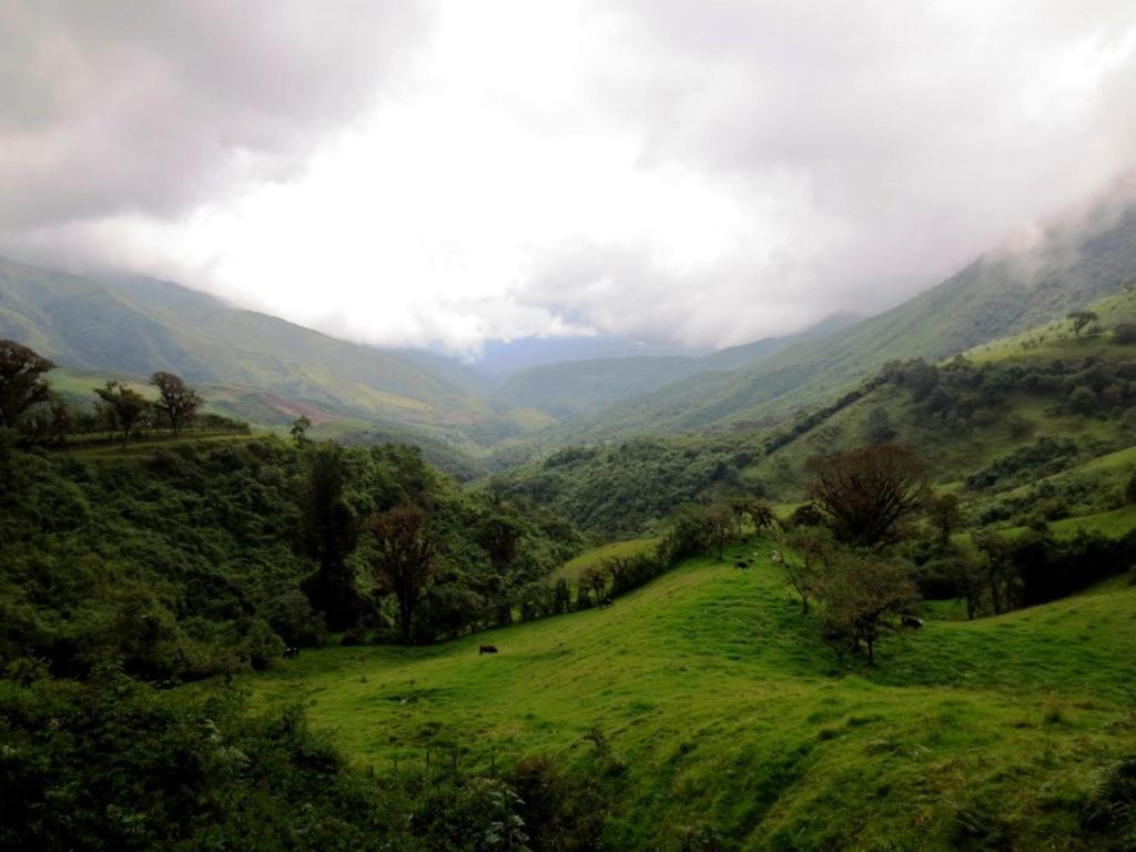 Finca Petrona Calacali Luaran gambar