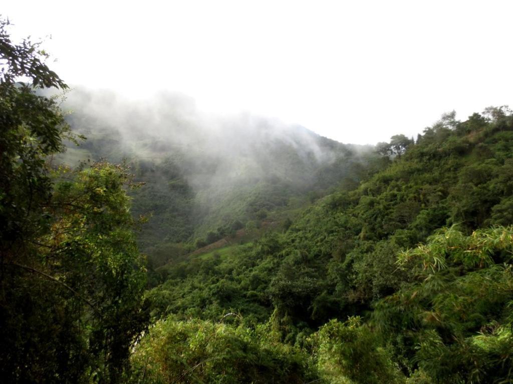 Finca Petrona Calacali Luaran gambar