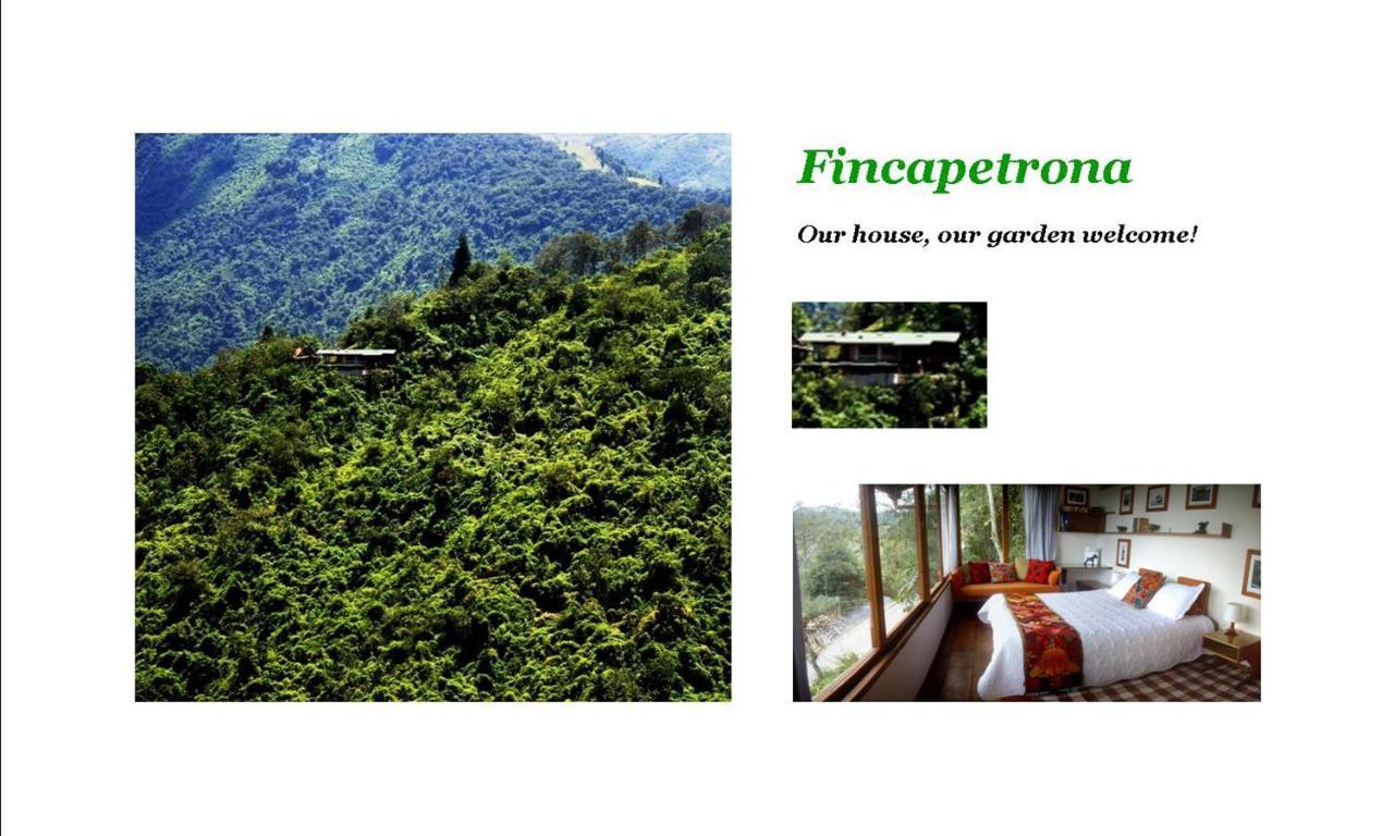 Finca Petrona Calacali Luaran gambar